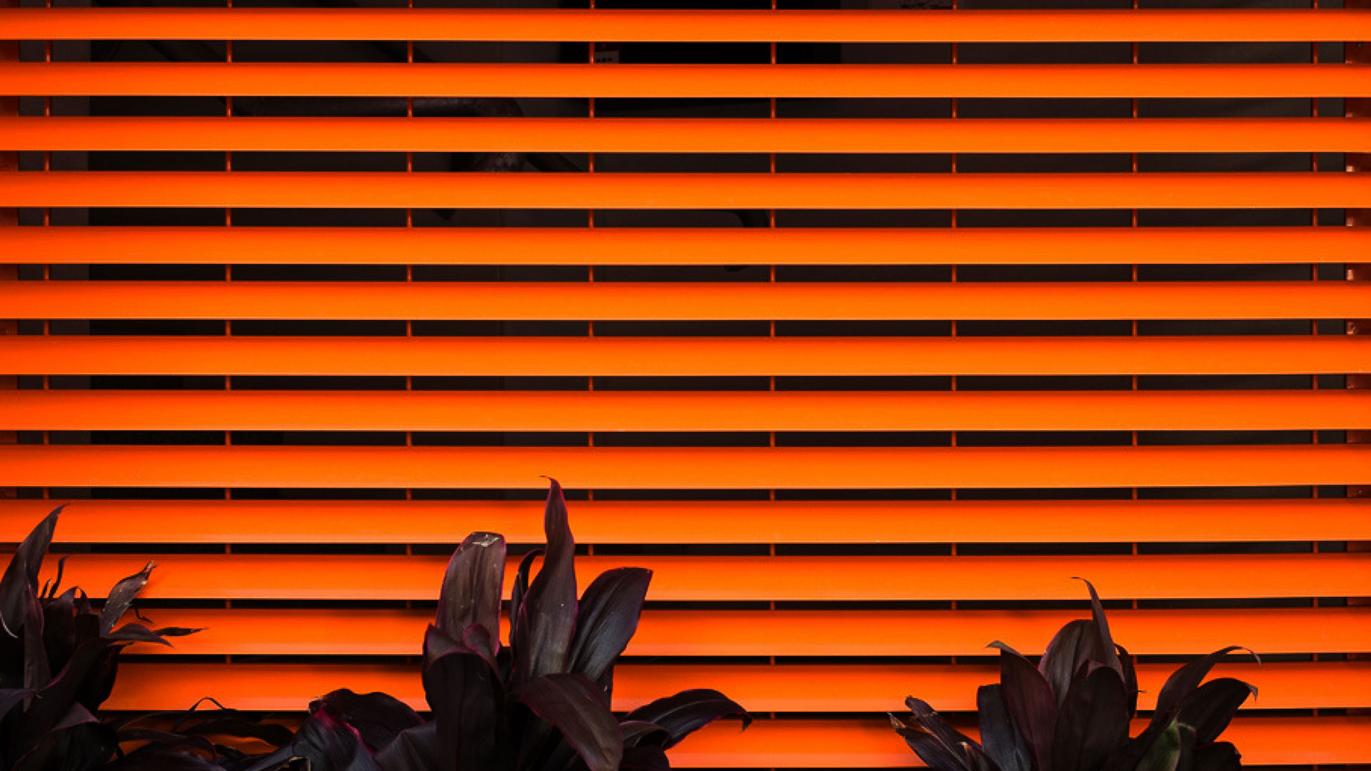 The Odd Number Background 4